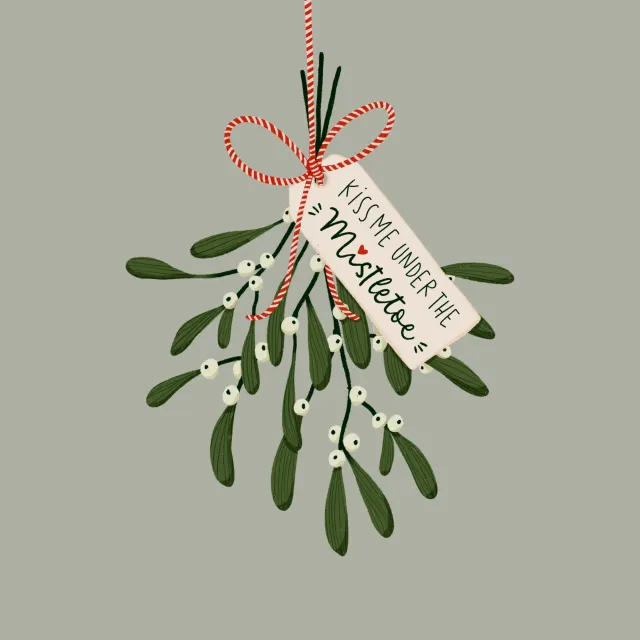 Kissen Mistletoe kisses