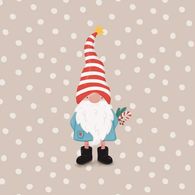 Kissen Weihnachtswichtel