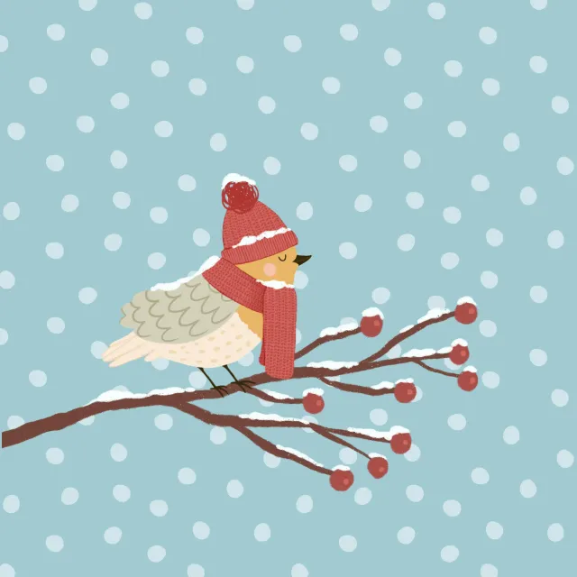 Geschirrtücher Wintervogel