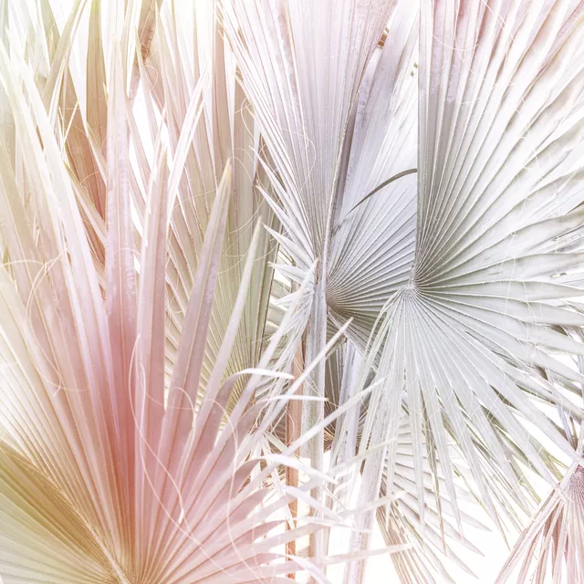 Tischset Palmera