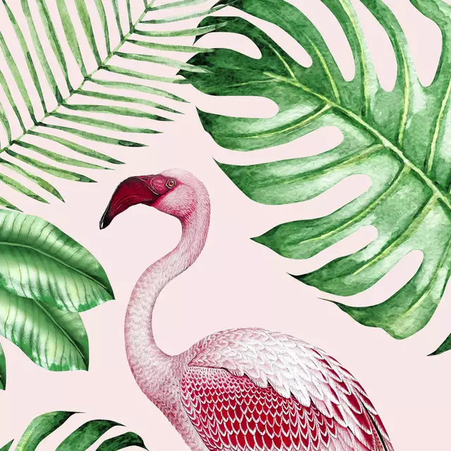 Kissen Jungle Flamingo