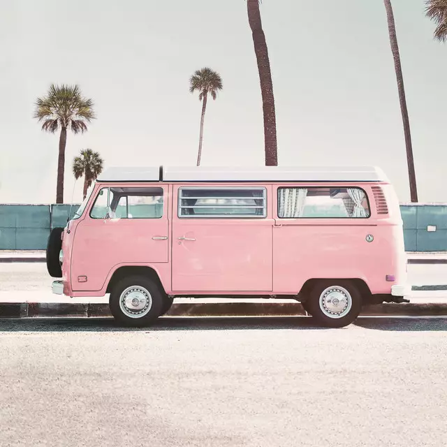 Geschirrtücher Pink Van