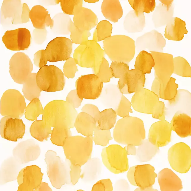 Geschirrtücher Mustard Splatters