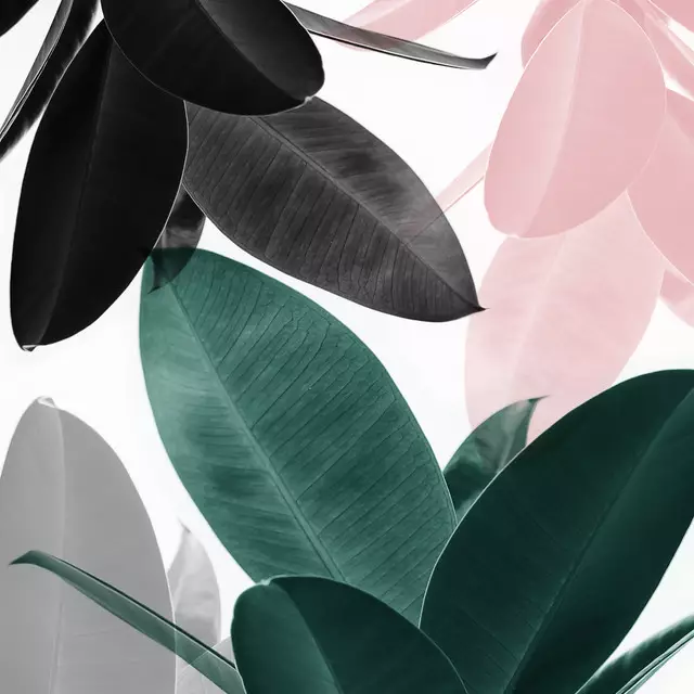 Tischset Leaf Play
