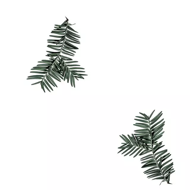 Bettwäsche Fir Branch Muster Tile