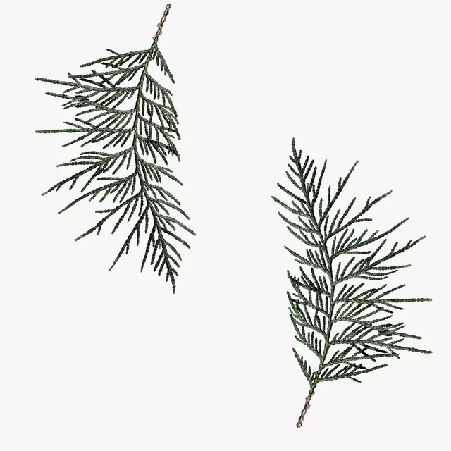 Kissen Winter Branches 16