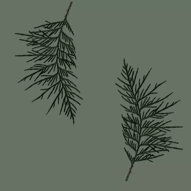 Winter Branches 16X