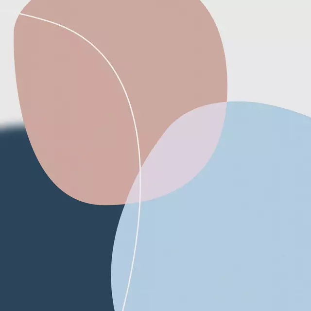 Kissen Graphic 290