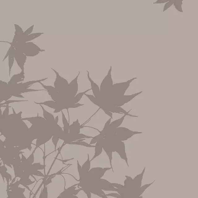 Tischläufer Autumn Silhouettes 2