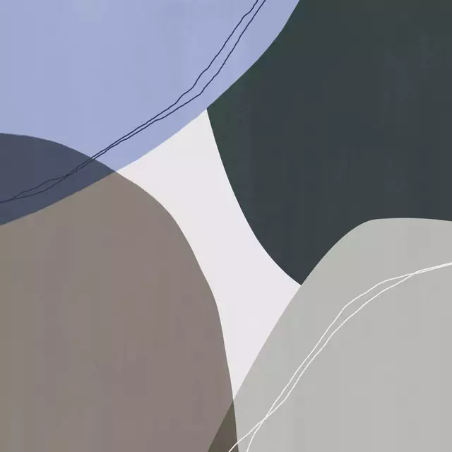 Geschirrtücher Graphic 299