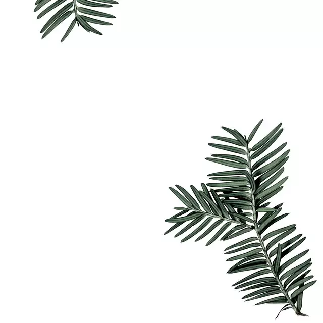 Tischdecke Fir Branch Muster Tile