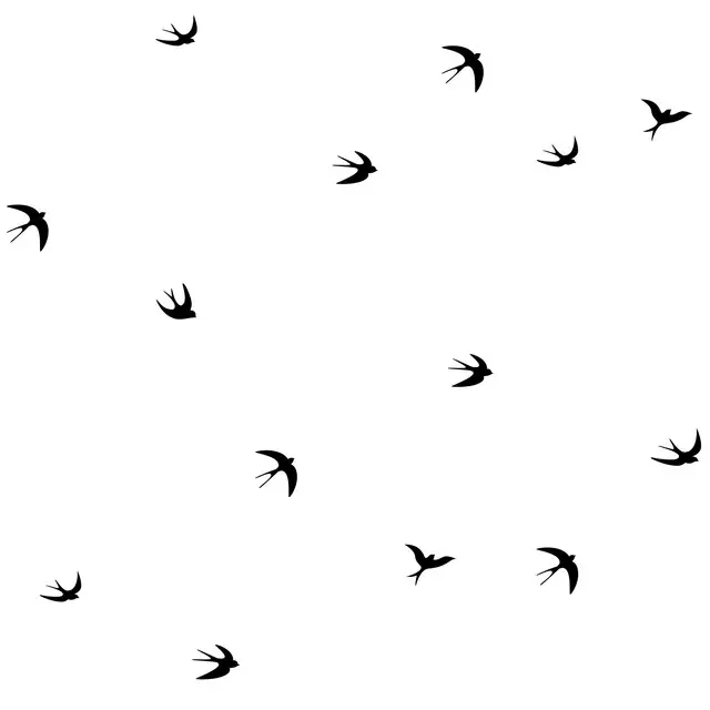 Schwalben schwarz-weiss