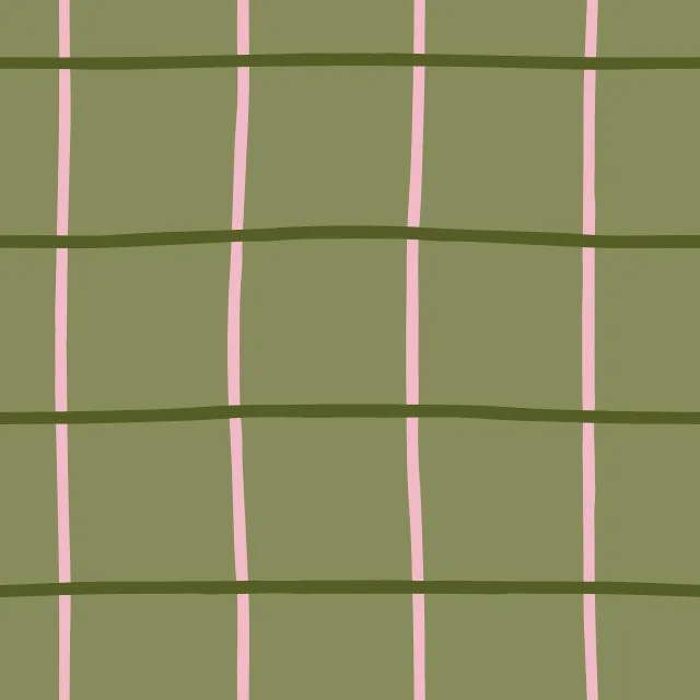 Kissen Checks & Lines oliv rosa