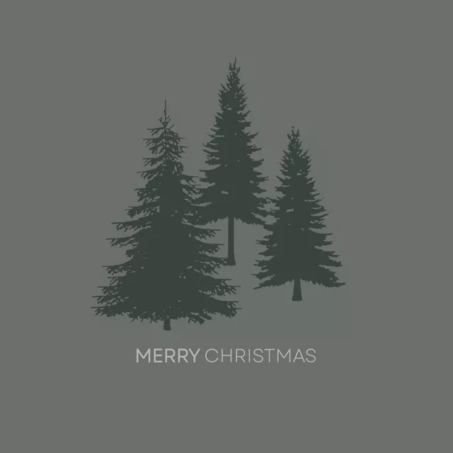 Geschirrtücher Tannenbäume Merry Christmas