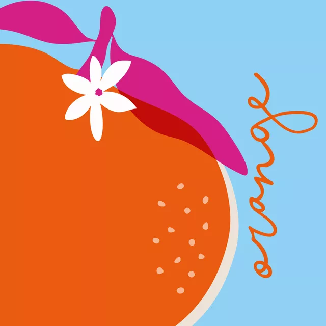 Kissen Sweet Summer Orange