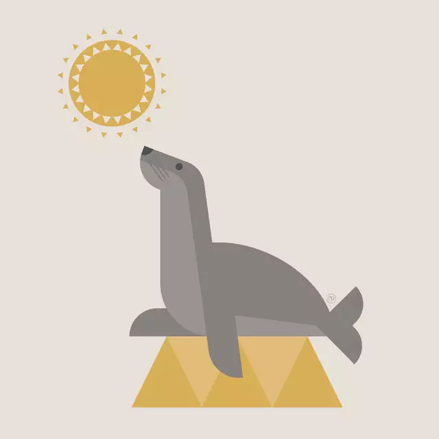 Geschirrtücher Seelöwe & Sonne