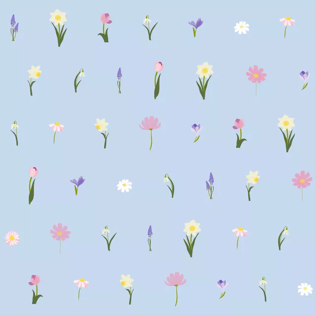 Kissen Osterblumen Wiese hellblau