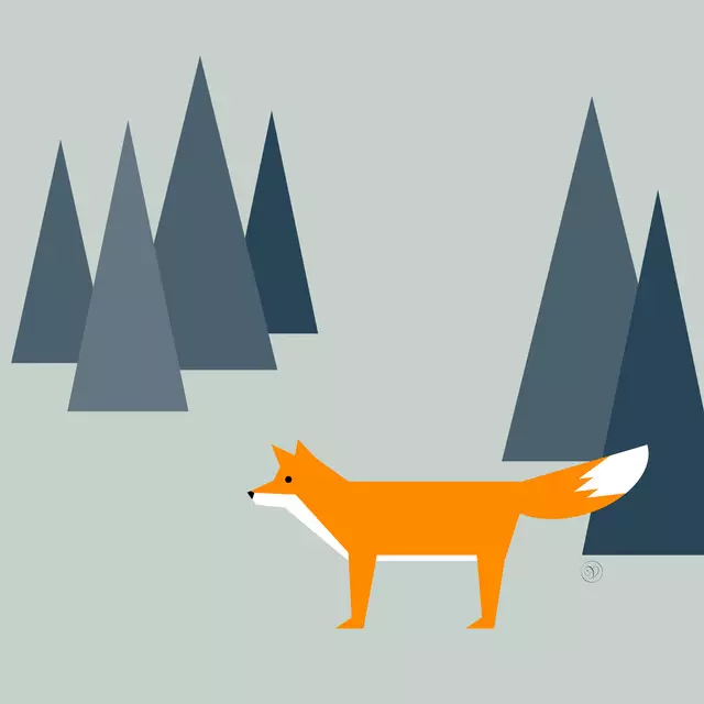 Kissen Fuchs
