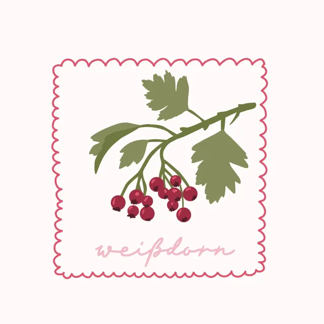 Kissen Autumn Berries Weissdorn