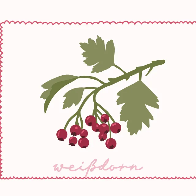 Tischset Autumn Berries Weissdorn