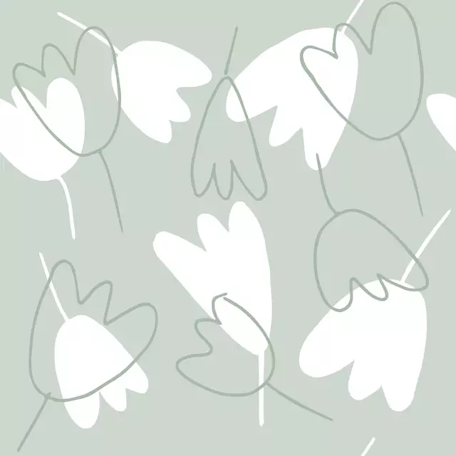 Tulpen grün