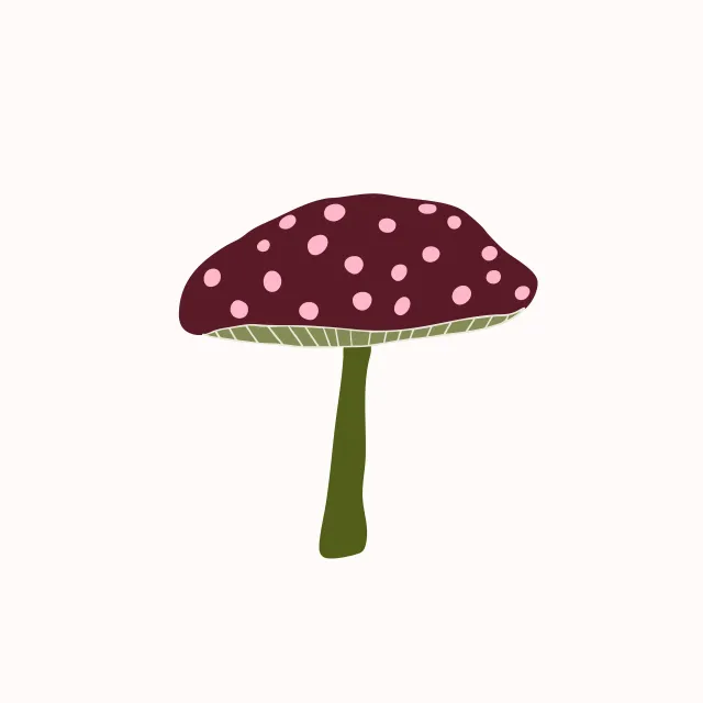 Kissen Fliegenpilz burgundy oliv