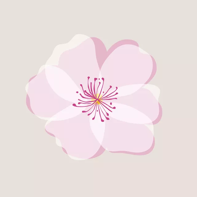 Kissen Kirschblüte beige 1