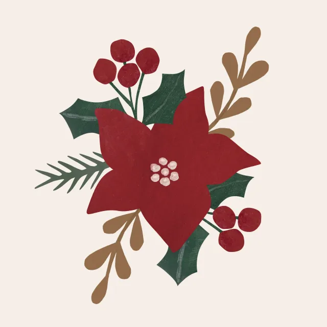 Kissen Weihnachststern