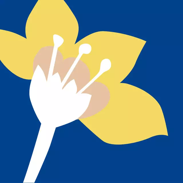 Kissen Gelbe Blume