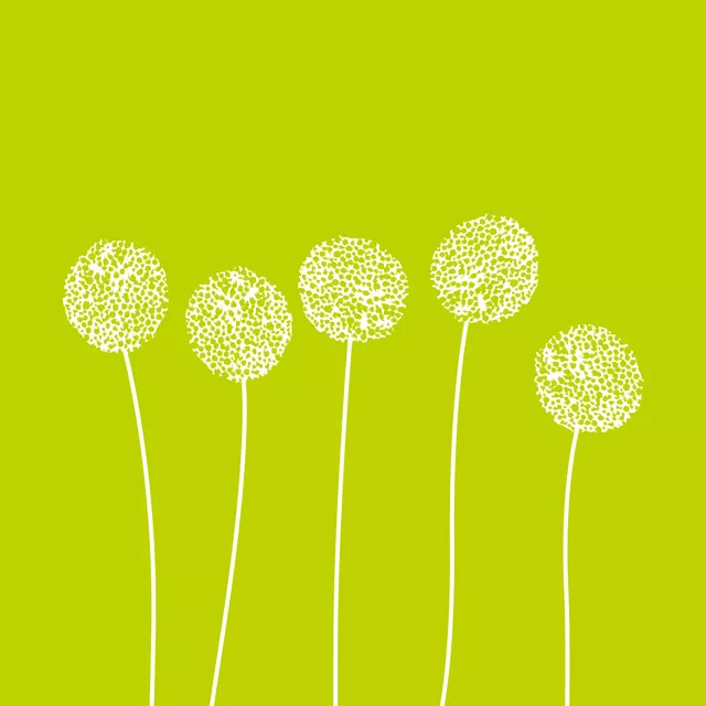 Geschirrtücher Pusteblumen