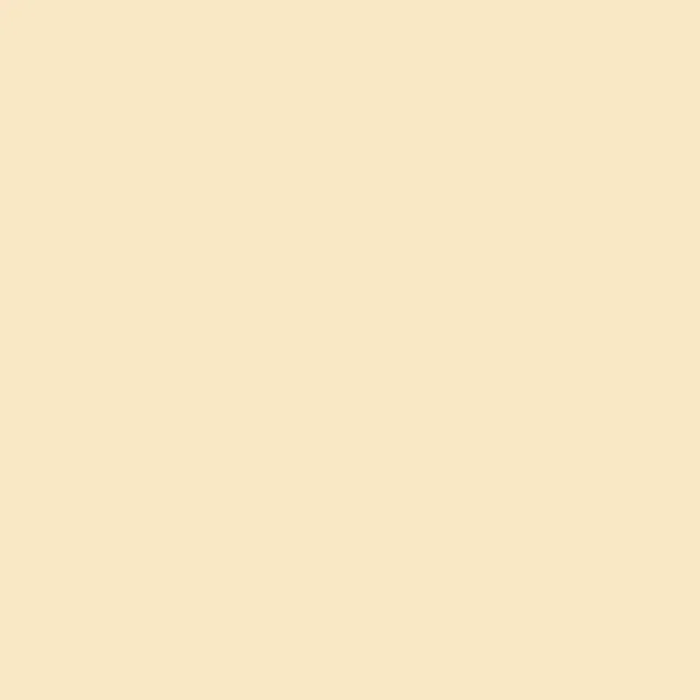 Kissen Creme