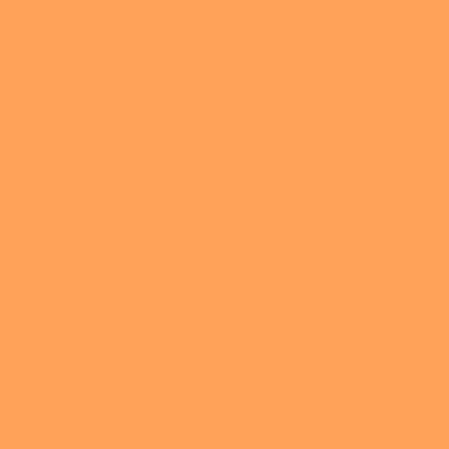 Bodenkissen colors Orange Botanics