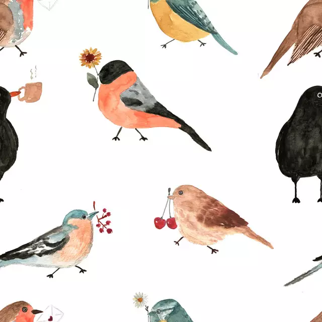 Vögel