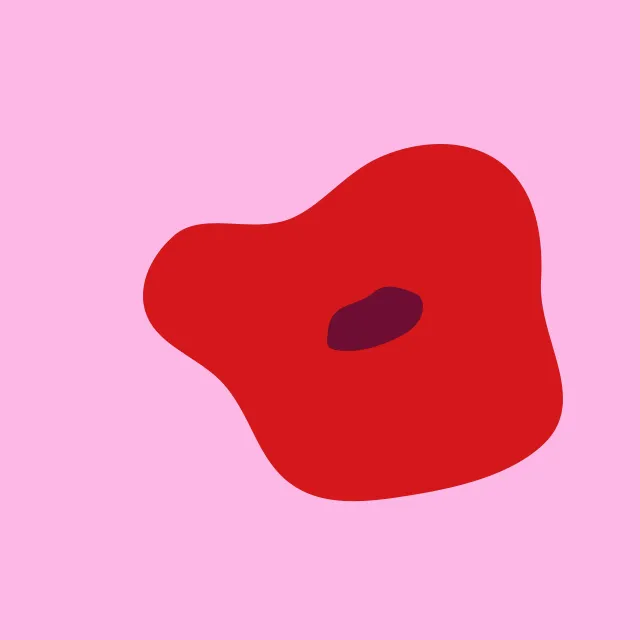 Kissen Poppy Big