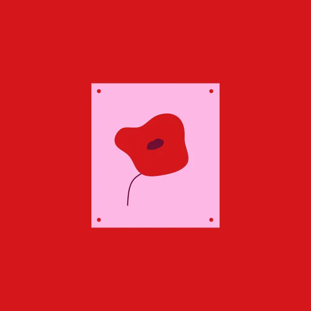 Poppy in a Frame