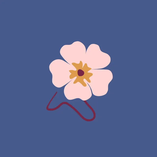 Kissen Rosa