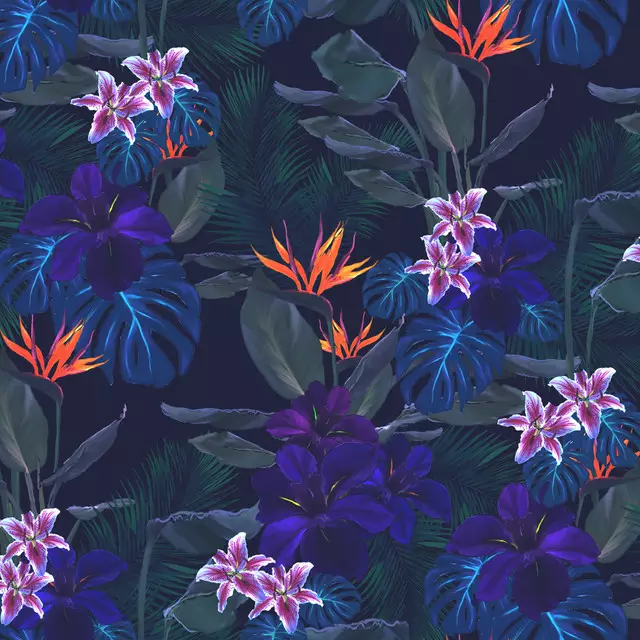 Dark Tropical