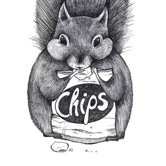 Servietten Chipseichhörnchen
