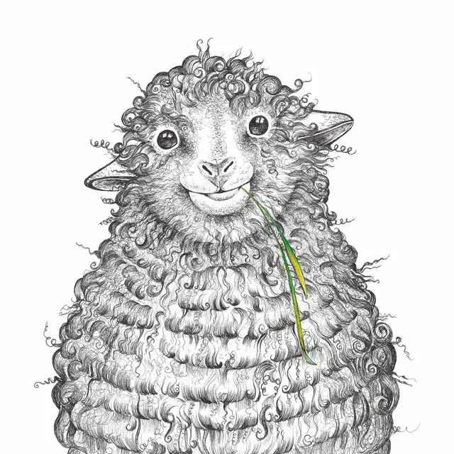 Wollfried