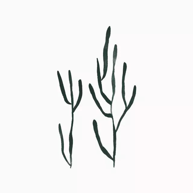 Servietten Algae 2