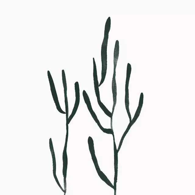 Tischdecke Algae 2