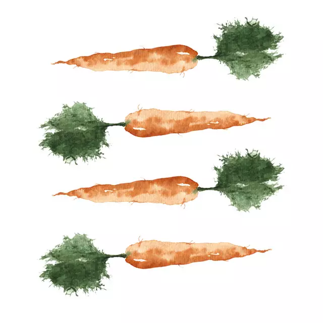 Servietten Karotte