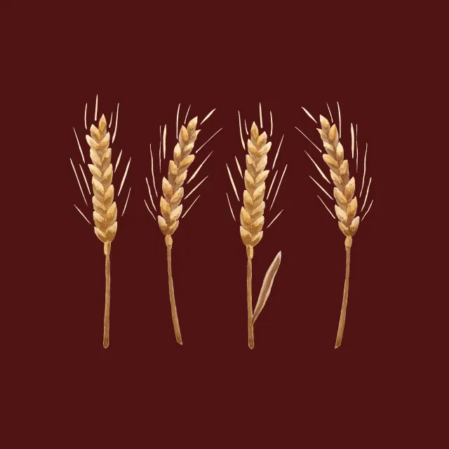 Kissen Golden Wheat