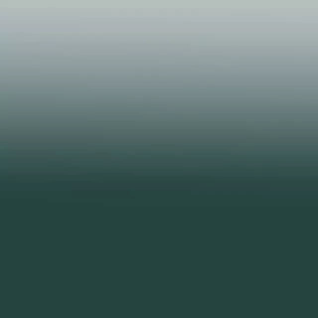Winter Shades fir green