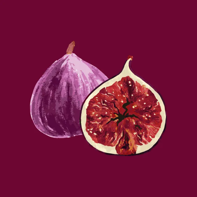 Servietten Sweet Burgundy Figs