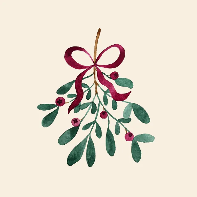 Kissen Berry Mistletoe