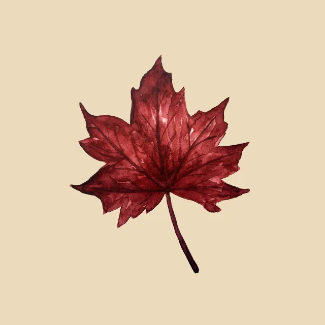 Kissen Glowing Autumn Leaf