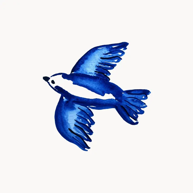 Azulejo Schwalbe Männchen