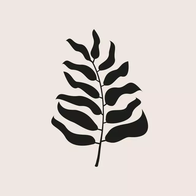 Kissen Boho Palm Leaf black