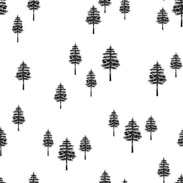 Black Ink Winter Forest